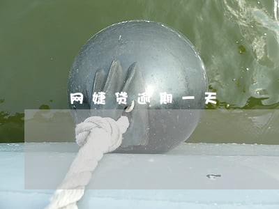 网婕贷逾期一天