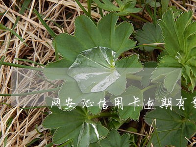 网安证信用卡逾期有影响吗 网安证信用卡逾期有影响吗