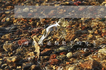 网岛有逾期能下的口子 网岛有逾期能下的口子