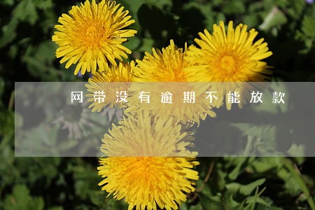网带没有逾期不能放款 网带没有逾期不能放款