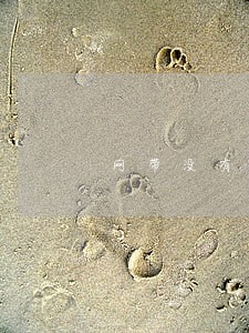 网带没有逾期多久会消除 网带没有逾期多久会消除
