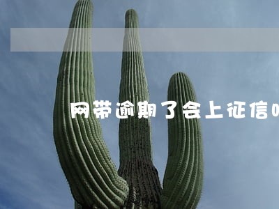 网带逾期了会上征信吗 网带逾期了会上征信吗