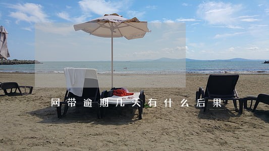 网带逾期几天有什么后果 网带逾期几天有什么后果