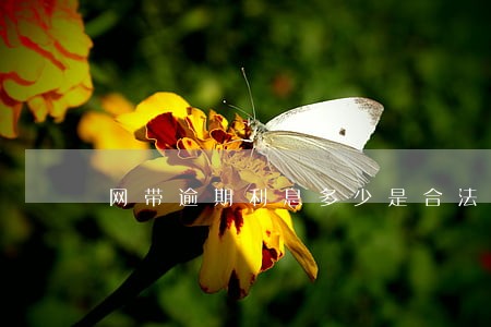 网带逾期利息多少是合法的 网带逾期利息多少是合法的