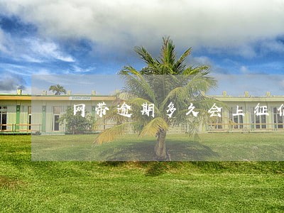网带逾期多久会上征信 网带逾期多久会上征信