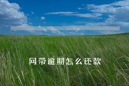网带逾期怎么还款