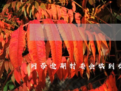 网带逾期村委会收到律师函 网带逾期村委会收到律师函