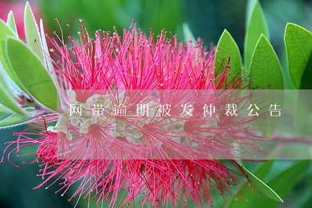 网带逾期被发仲裁公告 网带逾期被发仲裁公告
