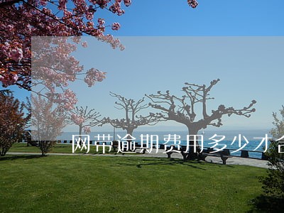 网带逾期费用多少才合法吗 网带逾期费用多少才合法吗