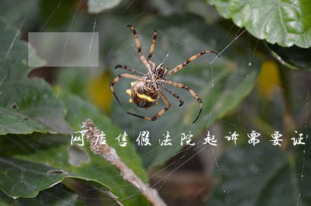 网店售假法院起诉需要证据吗 网店售假法院起诉需要证据吗