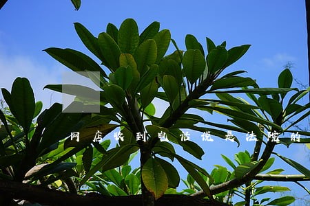 网店收到电话说是法院的 网店收到电话说是法院的