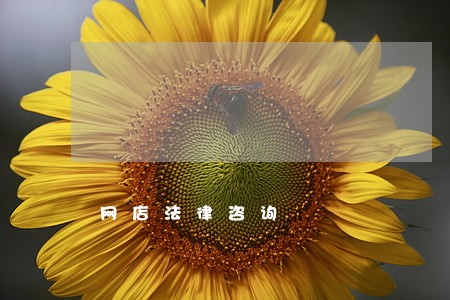 网店法律咨询 网店法律咨询