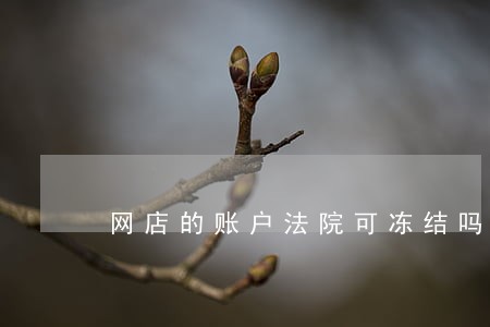 网店的账户法院可冻结吗 网店的账户法院可冻结吗