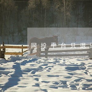 网投平台只退还本金