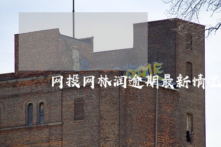网投网林润逾期最新情况追踪 网投网林润逾期最新情况追踪