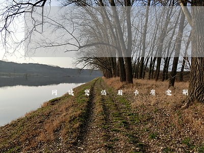 网捷贷信用卡有逾期 网捷贷信用卡有逾期