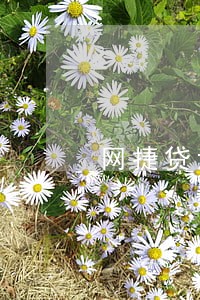 网捷贷六个月内无逾期 网捷贷六个月内无逾期