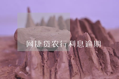 网捷贷农行利息逾期 网捷贷农行利息逾期