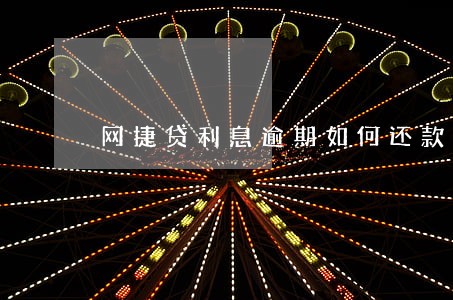 网捷贷利息逾期如何还款 网捷贷利息逾期如何还款