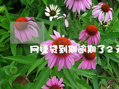网捷贷到期逾期了2天怎么还款