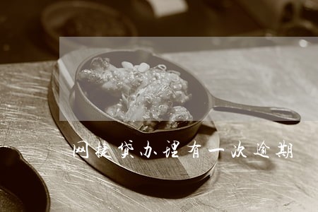网捷贷办理有一次逾期