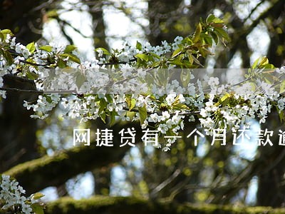 网捷贷有一个月还款逾期 网捷贷有一个月还款逾期