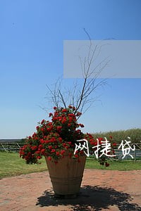 网捷贷有逾期记录是否能贷款 网捷贷有逾期记录是否能贷款