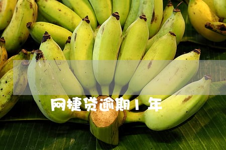 网捷贷逾期1年 网捷贷逾期1年