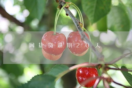 网捷贷逾期20天 网捷贷逾期20天