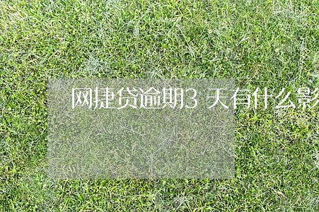 网捷贷逾期3天有什么影响 网捷贷逾期3天有什么影响