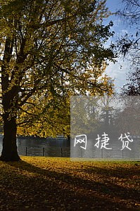 网捷贷逾期5个月了吗 网捷贷逾期5个月了吗