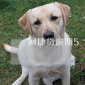 网捷贷逾期5个月后果 网捷贷逾期5个月后果