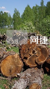 网捷贷逾期5天上门签字 网捷贷逾期5天上门签字