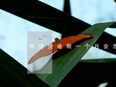 网捷贷逾期一个月会怎么样 网捷贷逾期一个月会怎么样