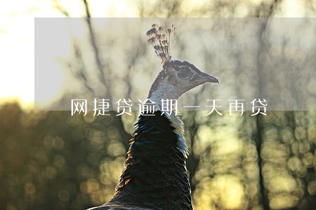 网捷贷逾期一天再贷 网捷贷逾期一天再贷