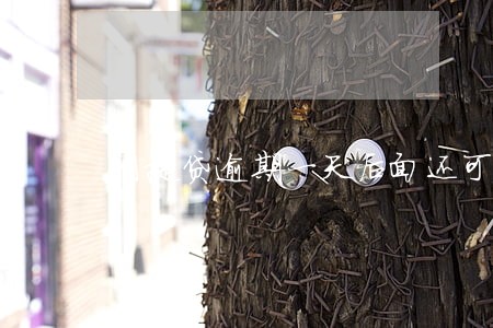 网捷贷逾期一天后面还可以用吗 网捷贷逾期一天后面还可以用吗