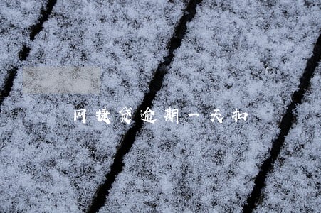 网捷贷逾期一天扣 网捷贷逾期一天扣