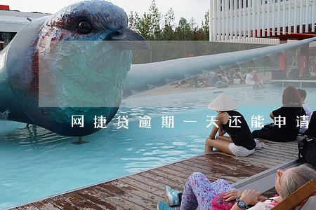 网捷贷逾期一天还能申请嘛 网捷贷逾期一天还能申请嘛