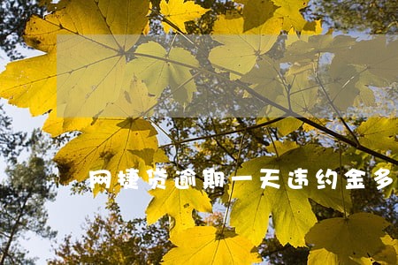 网捷贷逾期一天违约金多少 网捷贷逾期一天违约金多少