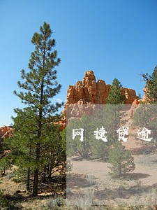 网捷贷逾期一次还可以申请吗 网捷贷逾期一次还可以申请吗