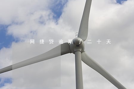 网捷贷逾期了二十天