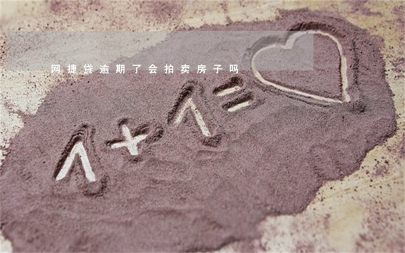 网捷贷逾期了会拍卖房子吗 网捷贷逾期了会拍卖房子吗