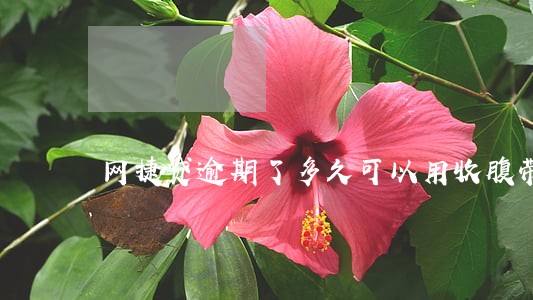 网捷贷逾期了多久可以用收腹带
