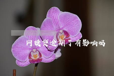 网捷贷逾期了有影响吗 网捷贷逾期了有影响吗