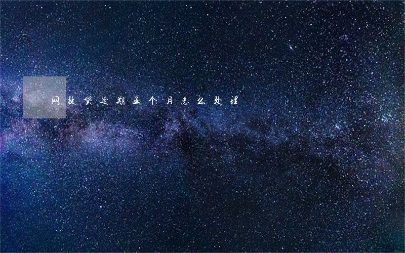 网捷贷逾期五个月怎么处理