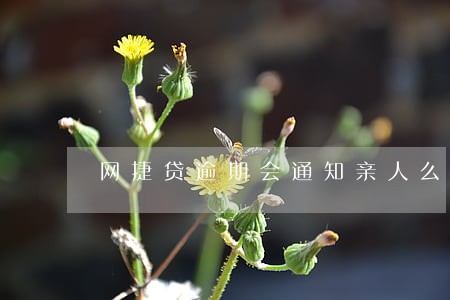 网捷贷逾期会通知亲人么 网捷贷逾期会通知亲人么