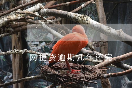 网捷贷逾期几年还完 网捷贷逾期几年还完