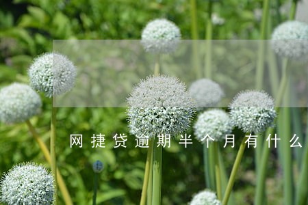 网捷贷逾期半个月有什么危害 网捷贷逾期半个月有什么危害