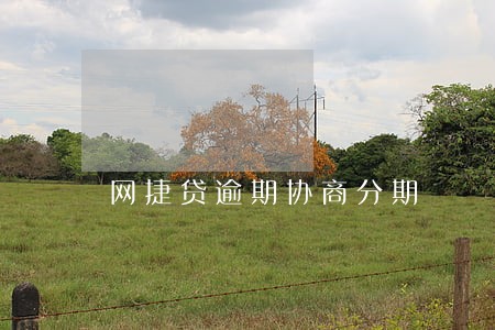 网捷贷逾期协商分期 网捷贷逾期协商分期