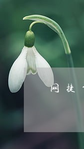网捷贷逾期去银行 网捷贷逾期去银行